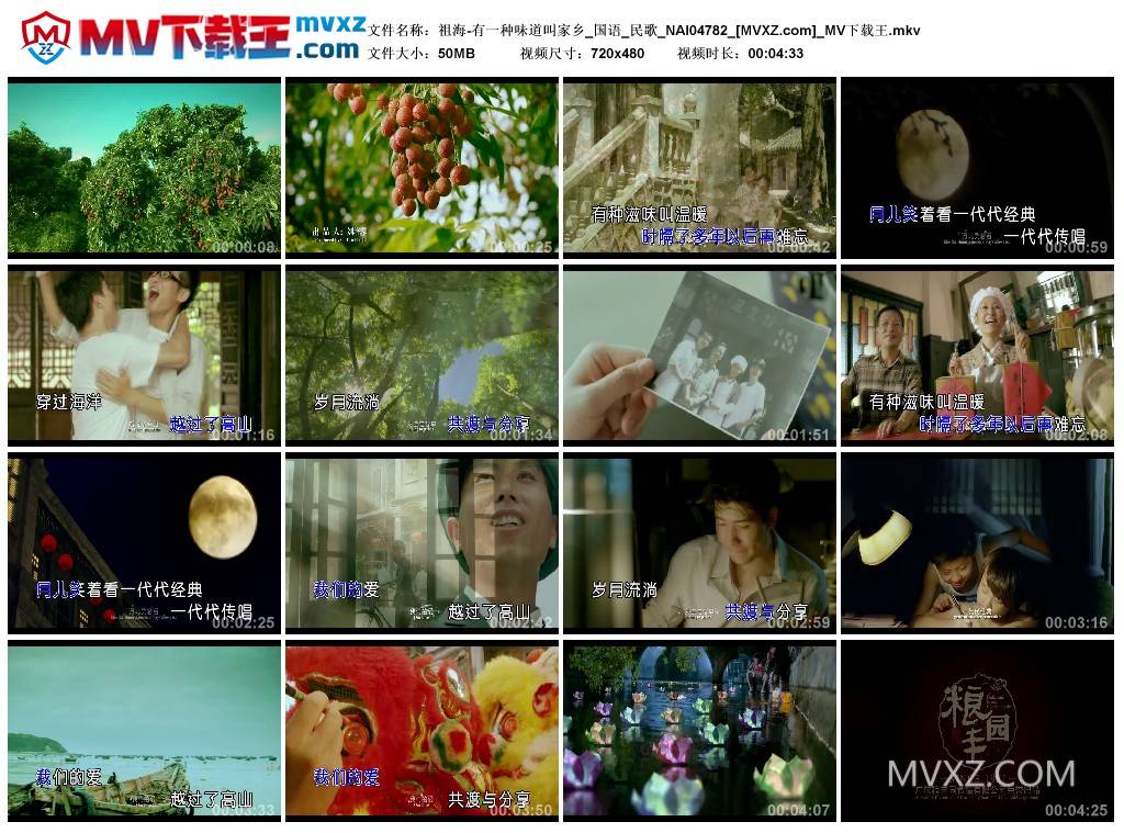 祖海-有一种味道叫家乡_国语_民歌_NAI04782